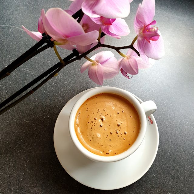 Espresso Single